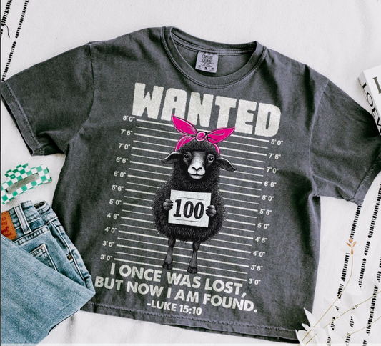 WANTED !